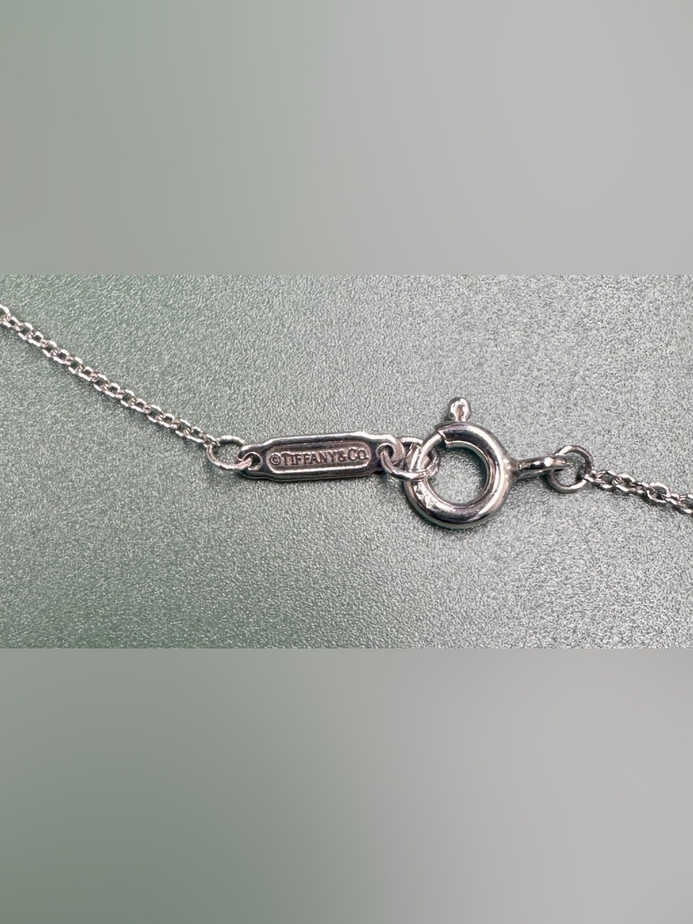 Tiffany & Co. Sterling Silver Circle Pendant Necklace with Tiffany Blue Pouch - Picture 9 of 11